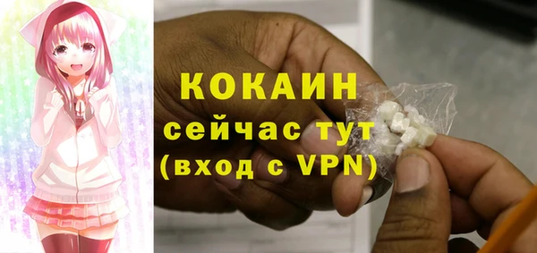 стафф Алзамай