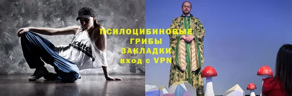 стафф Алзамай