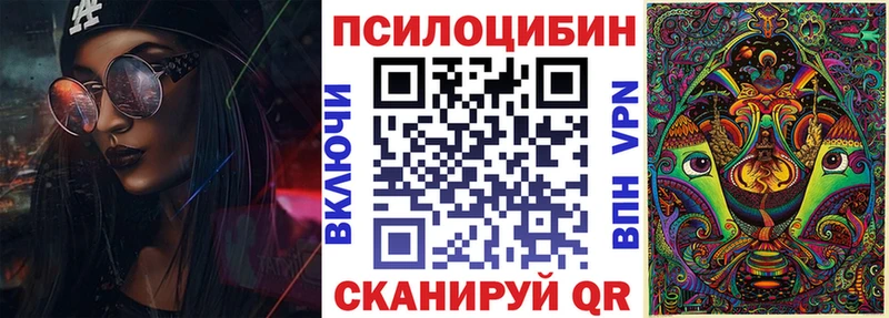 Псилоцибиновые грибы Psilocybe купить цена Сясьстрой